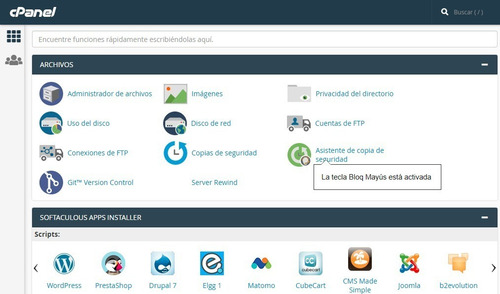 Hosting Web Con Cpanel