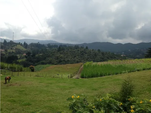 Lote Independiente Alto De Las Palmas Envigado
