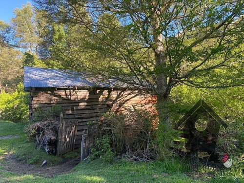 Parcela Con Casa E Instalaciones, 1 Hectarea
