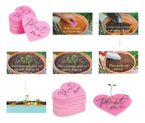 Papel Plantable Plant Me Seeded Paper, Obsequio De Pape...