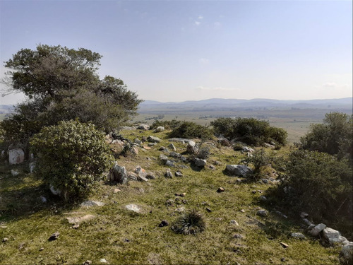 Chacras En Venta San Carlos Ruta 39, Punta Del Este