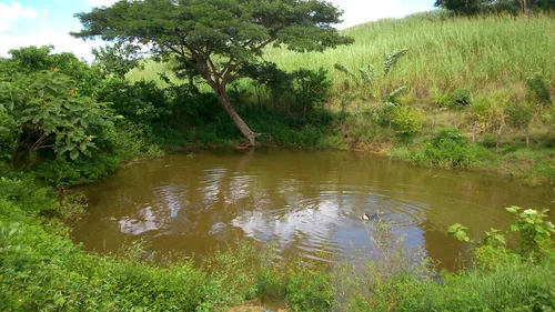 Finca De 25 Hec A 15 Minutos De Luruaco