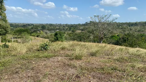 Finca En Venta En Salitral