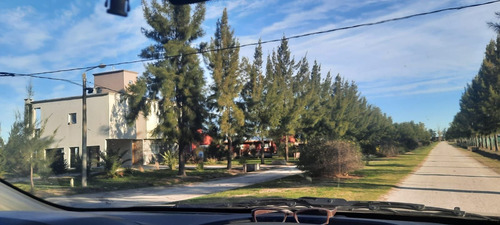 Imagen 8 de 10 de Lote En Venta De 2.4e+39m2 Ubicado En Campos De Roca