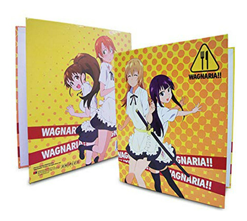 Wagnaria Carpeta Grupo De Trabajo.