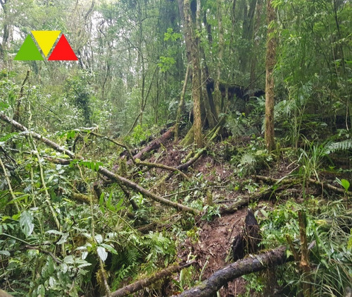 Imagem 16 de 22 de Chácara Serrinha - Ch00085 - 34982956