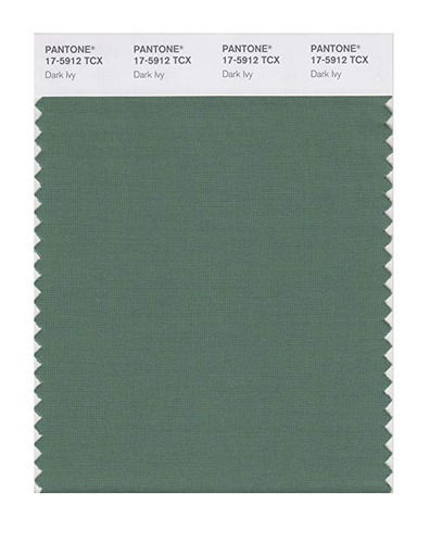 Tarjeta De Swatch Del Color Pantone Inteligente 17-5912x, Os