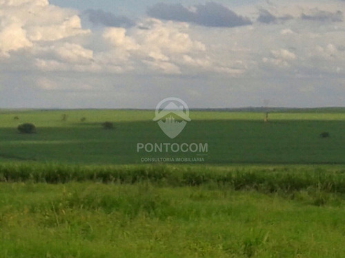 Imagem 11 de 23 de Excelente Fazenda - Martinópolis - 3841131v