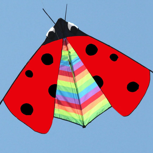 Triangle Ladybug Kite Fly Kite Easy Control Delta Kite Para