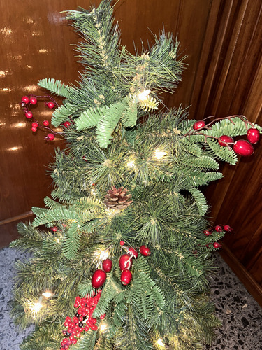 Árbol De Navidad De Pórtico Con Luz Incluida. 1.22 M (Usado)