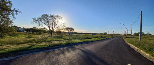 Imagen 8 de 14 de Terrenos Al Ingreso A Oro Verde - Loteo San Antonio