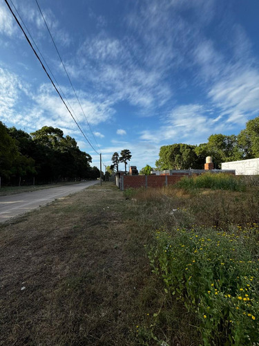 Terreno En Venta En San Bernardo Oportunidad