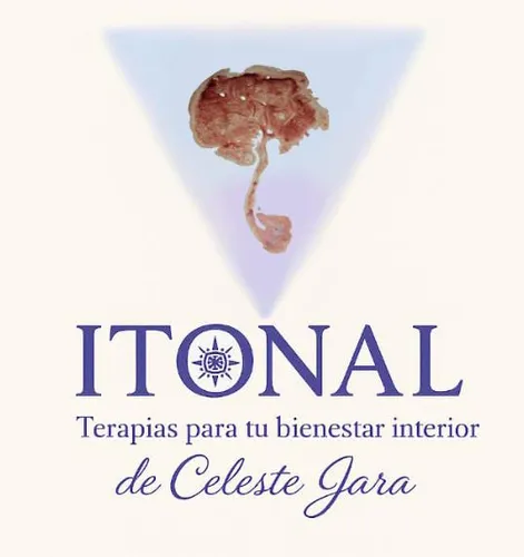 Carta Numerologica Completa