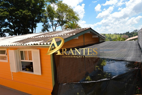 Imagem 14 de 30 de Chacara - Ch00109 - 69246130