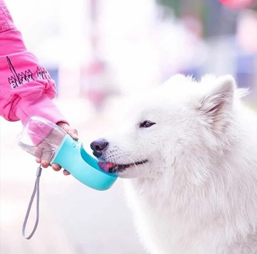 Bebedero Portátil Para Perro Chico 350 Ml De Agua Color Verde Lima O Rosa