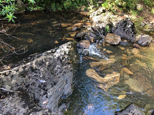 Venta Chacra Sierra Minas Ruta 60 Pan De Azucar Minas
