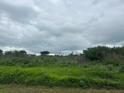 Venta De Parcela De Terreno En Zona Industrial El Tigre, Guacara; 35.000$