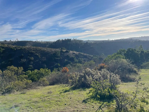 Parcela En Venta En Algarrobo, San José, Las Dichas