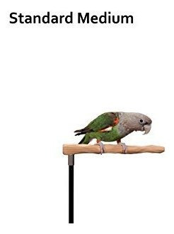 Kit De Entrenamiento Para Loros Con Percha