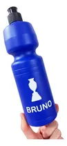 Comprar 30 Botellas Copa America Plasticas Souvenirs 750cc