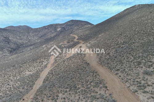 22 Parcelas De 5,000 M2 En Venta El Hinojal,valle De Elqui.