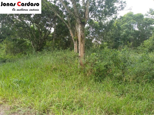 Imagem 4 de 7 de Terreno - Excelente Oportunidade - Te00115 - 69732832