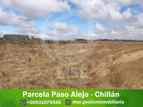 Parcela Paso Alejo - Chillán