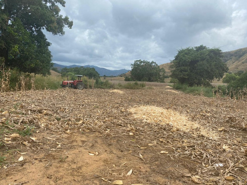 Oportunidad De Inversión En Chiapas: Rancho De 10 Hectáreas Con Documentación Al Día Y Plusvalía En Crecimiento