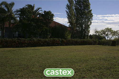 Imagen 7 de 22 de Lote Con Salida Al Lago En La Isla, Nordelta