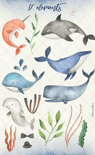 Kit Imagenes Png Cliparts Ballenas Mar Acuarela Fb42