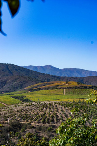 Cumbres De Aurora