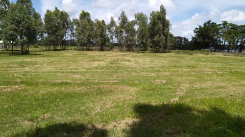 Dueño Vende Terreno Sobre Ruta 34