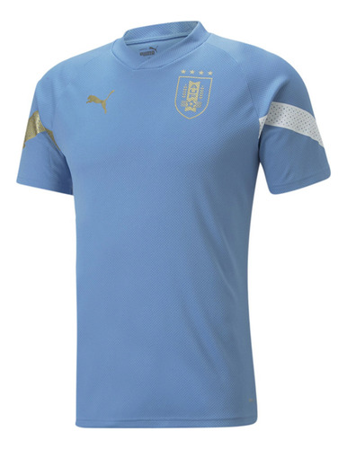 Remera Auf Entrenamiento Jersey Puma Para Hombre