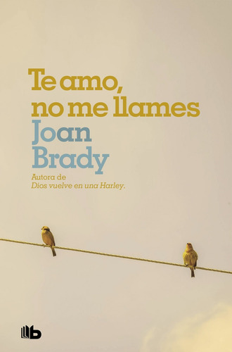 Te Amo, No Me Llames*.. - Joan Brady