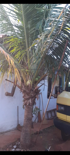 Chácara Vendo Ou Troco