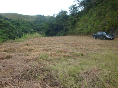 Imagen 9 de 14 de En Venta Terreno En Colinas De Guataparo, Valencia