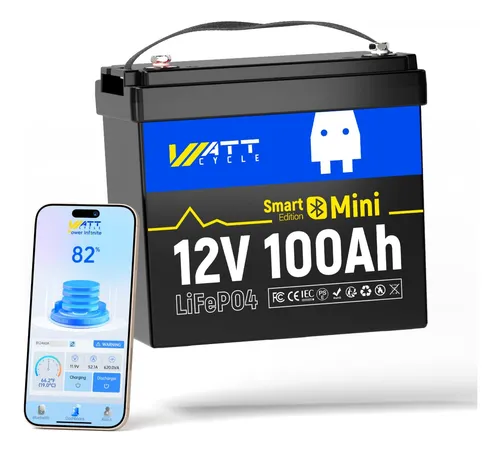 Batería De Litio 12 V 100 Ah Con Bluetooth Y Smart Bms