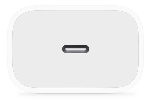 Cargador iPad Pro Usb-c Carga Original Tienda | Envío