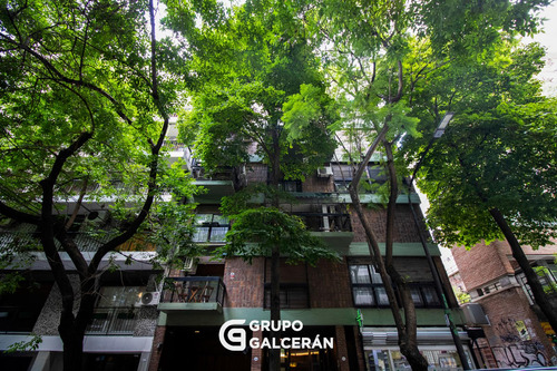 Departamento En Belgrano R -3 Ambientes Con Cochera Y Pileta