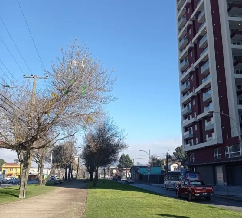 Imagen 1 de 25 de Arriendo Ccp 2d2b1e1b Torre Rodriguez Pinto Incluye Ggcc