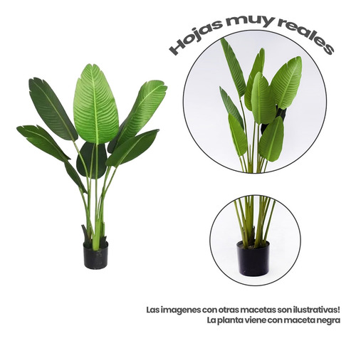 Plantas Artificiales Grande Deco Con Maceta Ave De Paraíso