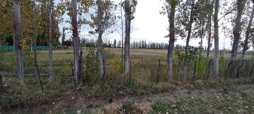 Imagen 7 de 10 de Venta Finca Algarrobal