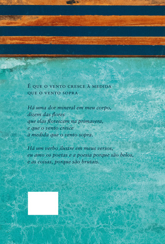 Sol descalço, de Cardoso, Carlos. Editorial Editora Record Ltda., capa mole em português, 2021