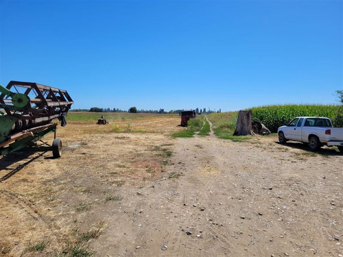 Bodega En Venta En Linares