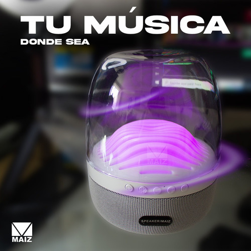 Bocina Bluetooth Luz Led Radio Fm Recargable Usb Portatil