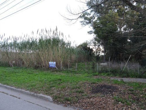 Imagen 2 de 5 de Lote De 15x50 En Veronica, Punta Indio