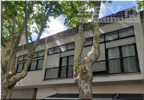 Imagen 2 de 9 de Departamento - Colonia Del Sacramento