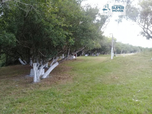 Imagem 2 de 15 de Chácara A Venda No Bairro Centro Em Piratini - Rs. - 2141-1