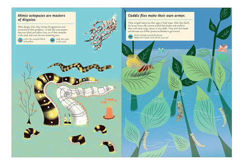 My Nature Sticker Activity Book