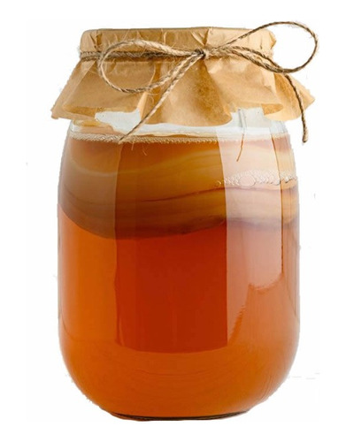 Kit Kombucha Fermentados Bebida Probiótica Scoby + Liquido 